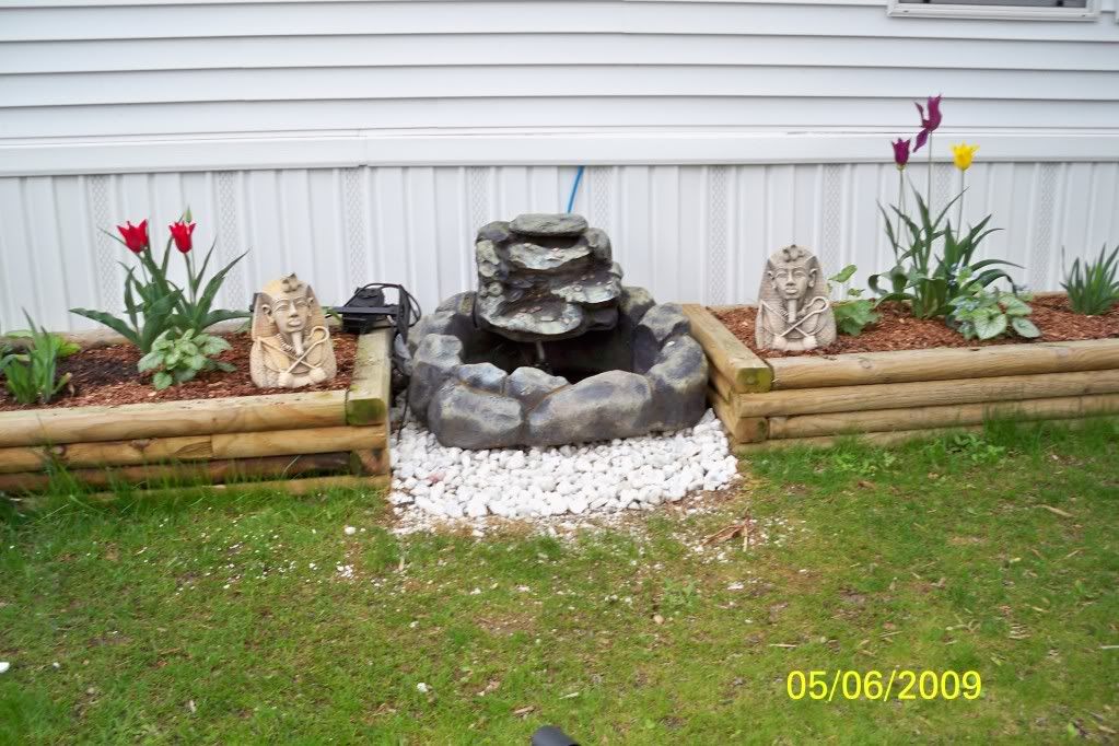 Thutmose III in my garden