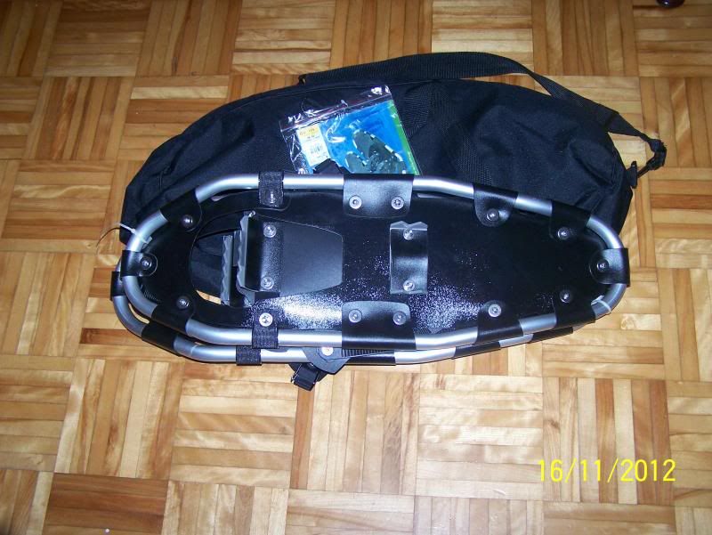 Snowshoes Giant Tiger, Truro Nova Scotia Hunting Forum