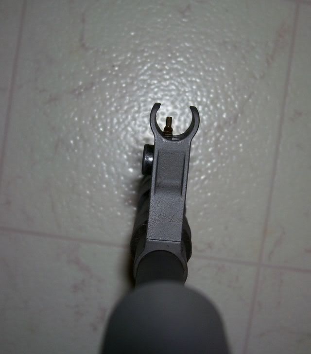 Tantal Front Sight Question Page 1