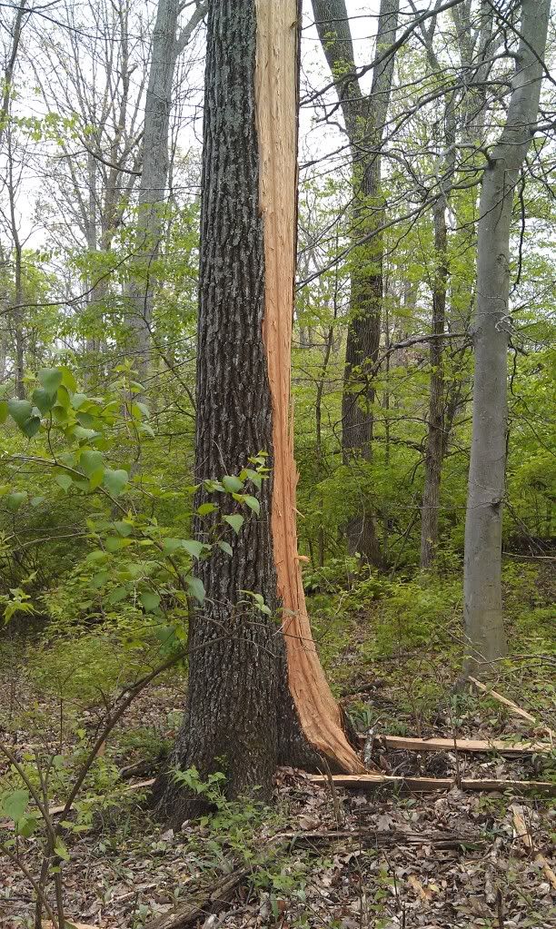 Lightning never strikes the same place twice. - The Great Outdoors