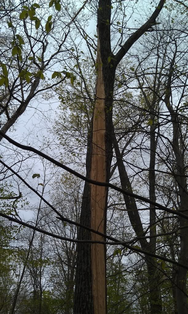 Lightning never strikes the same place twice. - The Great Outdoors