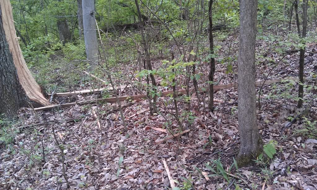 Lightning never strikes the same place twice. - The Great Outdoors