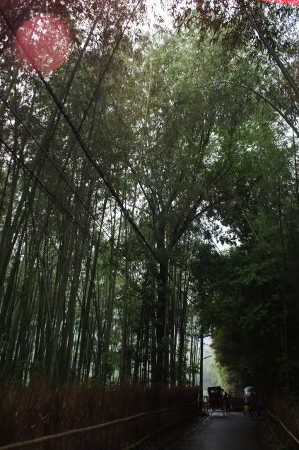 Un matsuri peculiar, una señora singular, un domingo inigualable (17 de mayo) - De Templos, chonis y soles nacientes. Diario de un sueño hecho realidad (10)