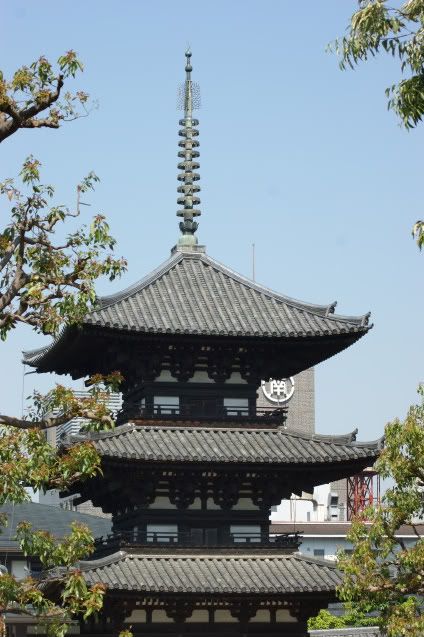 Ciervo-col-col-col, saca los cuernos al sol (sí, muy malo. 20 de Mayo) - De Templos, chonis y soles nacientes. Diario de un sueño hecho realidad (4)