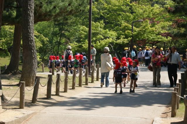 Ciervo-col-col-col, saca los cuernos al sol (sí, muy malo. 20 de Mayo) - De Templos, chonis y soles nacientes. Diario de un sueño hecho realidad (5)