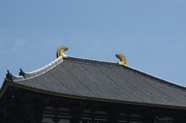 Ciervo-col-col-col, saca los cuernos al sol (sí, muy malo. 20 de Mayo) - De Templos, chonis y soles nacientes. Diario de un sueño hecho realidad (10)