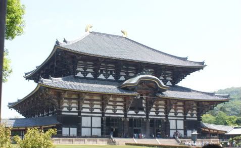 Ciervo-col-col-col, saca los cuernos al sol (sí, muy malo. 20 de Mayo) - De Templos, chonis y soles nacientes. Diario de un sueño hecho realidad (11)