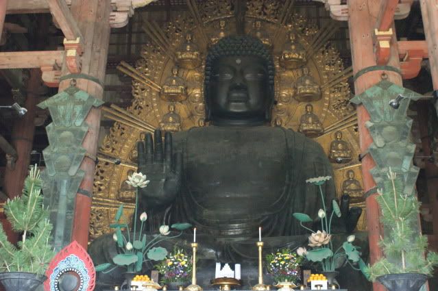 Ciervo-col-col-col, saca los cuernos al sol (sí, muy malo. 20 de Mayo) - De Templos, chonis y soles nacientes. Diario de un sueño hecho realidad (12)