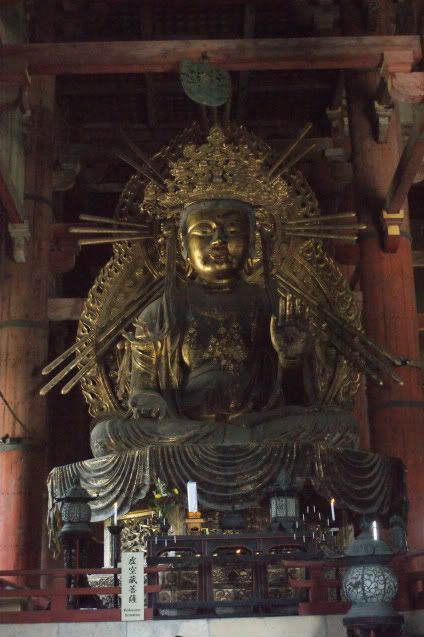 Ciervo-col-col-col, saca los cuernos al sol (sí, muy malo. 20 de Mayo) - De Templos, chonis y soles nacientes. Diario de un sueño hecho realidad (8)