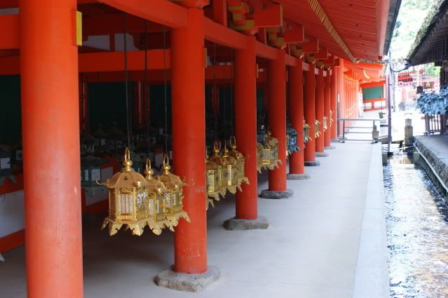 Ciervo-col-col-col, saca los cuernos al sol (sí, muy malo. 20 de Mayo) - De Templos, chonis y soles nacientes. Diario de un sueño hecho realidad (15)