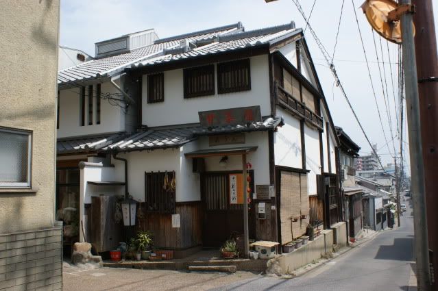 Ciervo-col-col-col, saca los cuernos al sol (sí, muy malo. 20 de Mayo) - De Templos, chonis y soles nacientes. Diario de un sueño hecho realidad (16)