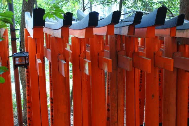 Ciervo-col-col-col, saca los cuernos al sol (sí, muy malo. 20 de Mayo) - De Templos, chonis y soles nacientes. Diario de un sueño hecho realidad (19)