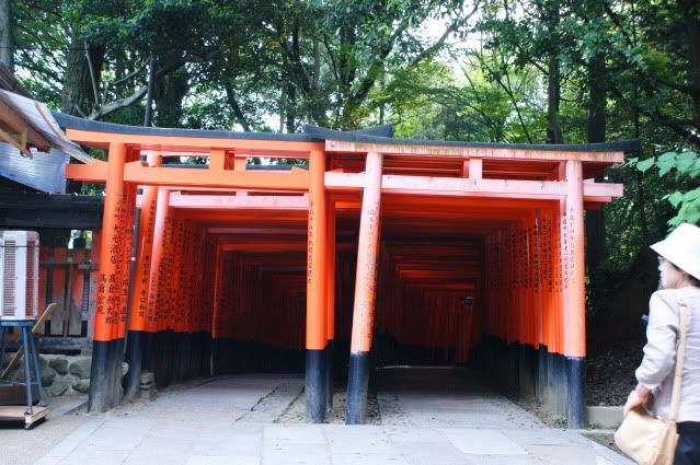 Ciervo-col-col-col, saca los cuernos al sol (sí, muy malo. 20 de Mayo) - De Templos, chonis y soles nacientes. Diario de un sueño hecho realidad (20)