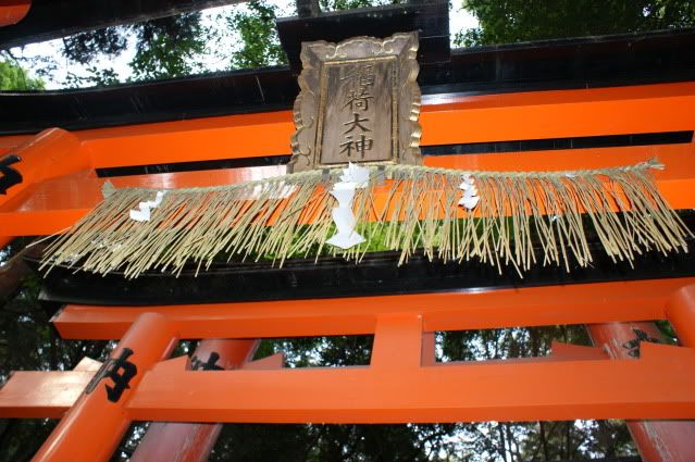Ciervo-col-col-col, saca los cuernos al sol (sí, muy malo. 20 de Mayo) - De Templos, chonis y soles nacientes. Diario de un sueño hecho realidad (21)