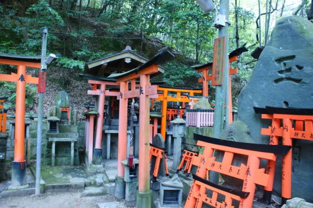 Ciervo-col-col-col, saca los cuernos al sol (sí, muy malo. 20 de Mayo) - De Templos, chonis y soles nacientes. Diario de un sueño hecho realidad (23)