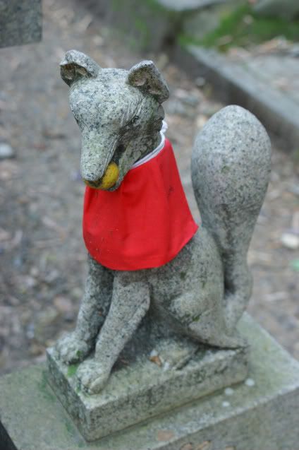 Ciervo-col-col-col, saca los cuernos al sol (sí, muy malo. 20 de Mayo) - De Templos, chonis y soles nacientes. Diario de un sueño hecho realidad (17)