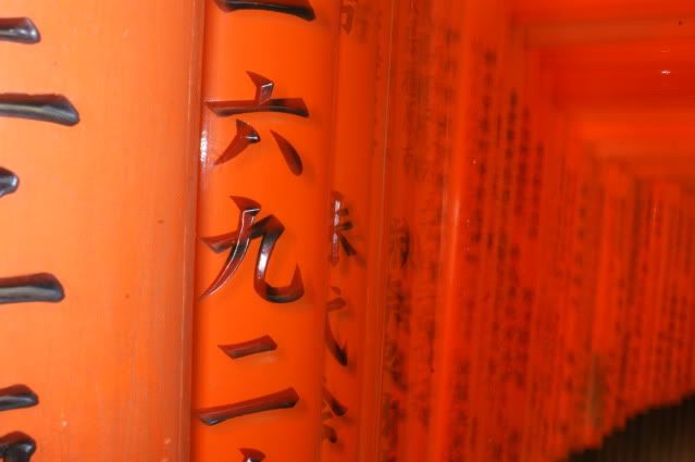 Ciervo-col-col-col, saca los cuernos al sol (sí, muy malo. 20 de Mayo) - De Templos, chonis y soles nacientes. Diario de un sueño hecho realidad (24)