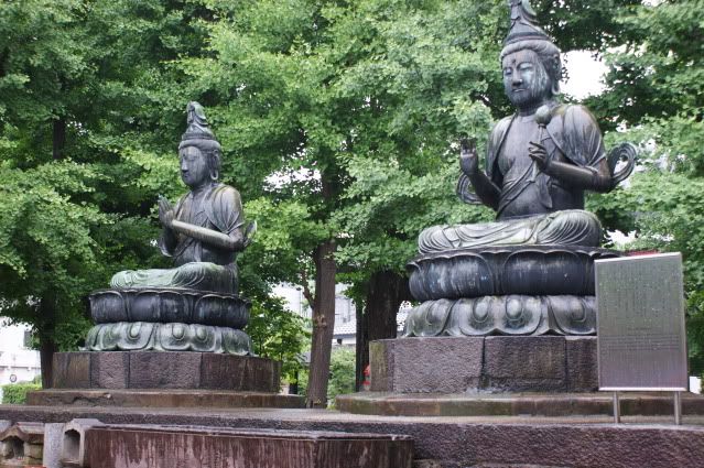 Compradores compulsivos (28 de mayo) - De Templos, chonis y soles nacientes. Diario de un sueño hecho realidad (6)