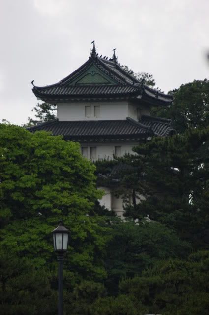 Compradores compulsivos (28 de mayo) - De Templos, chonis y soles nacientes. Diario de un sueño hecho realidad (12)