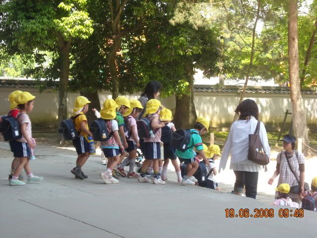 Ciervo-col-col-col, saca los cuernos al sol (sí, muy malo. 20 de Mayo) - De Templos, chonis y soles nacientes. Diario de un sueño hecho realidad (6)