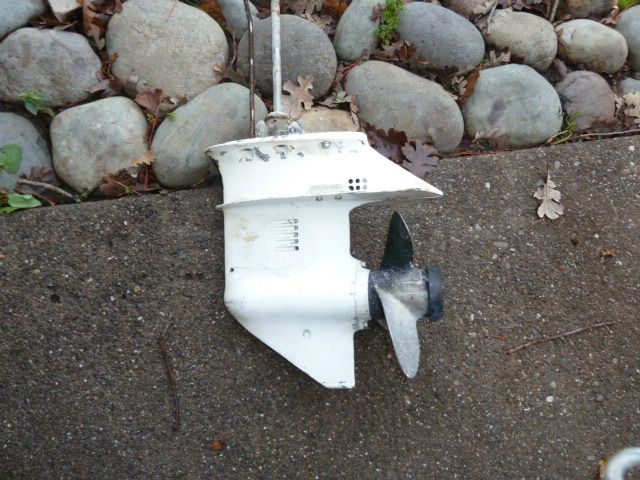P1040733.jpg