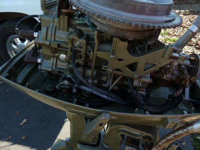 P1040764.jpg