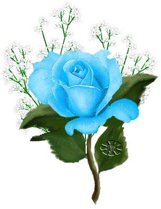 rose.gif blue rose image by hellspawn_