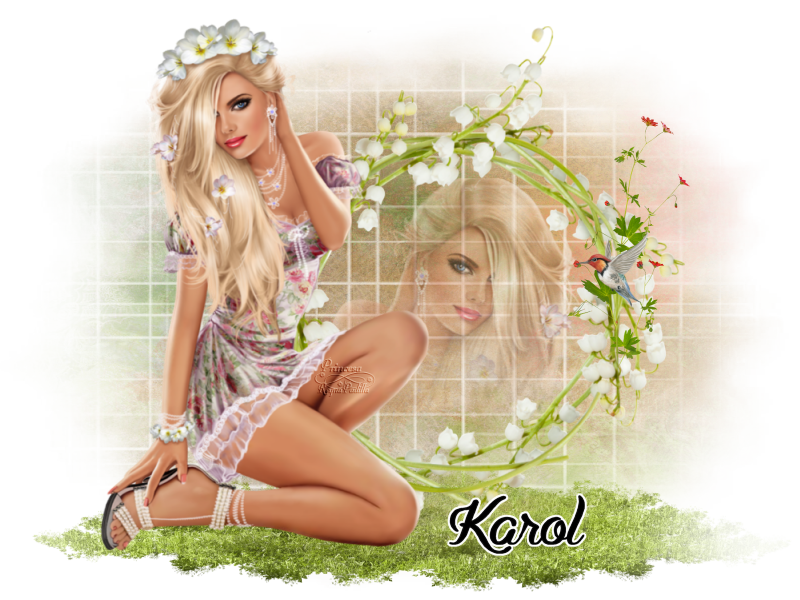  photo karol nov 1.png