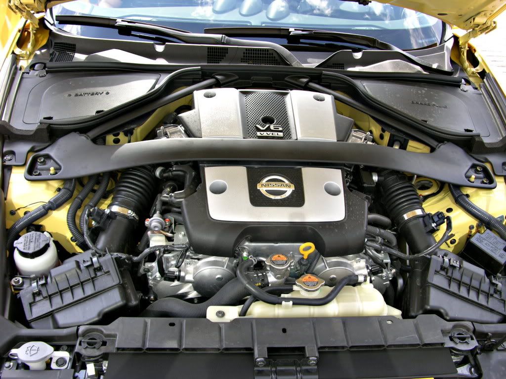 DSCN9919.jpg