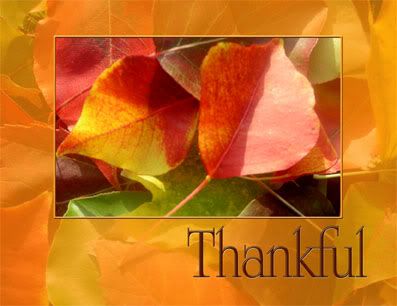 Thankful Pictures, Images and Photos