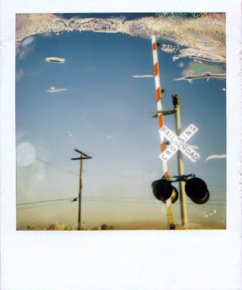 polariod Pictures, Images and Photos