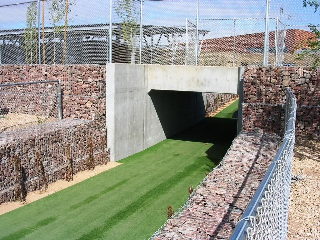 PracticeFieldPlayerTunnel?t1237437625