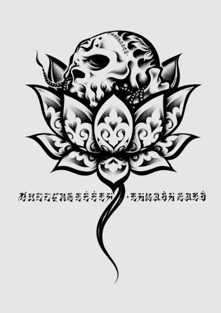skulotus-747955.jpg