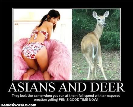 Forum Image: http://i374.photobucket.com/albums/oo187/spanksmon/asian-deers-froze-scared-demotivati.jpg