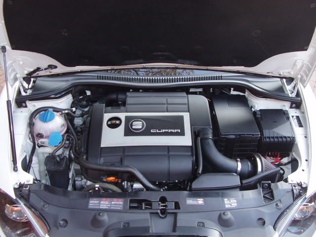 P1010105.jpg