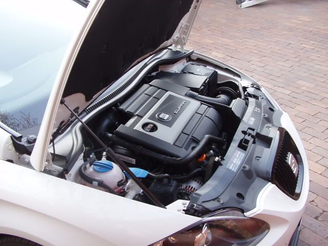 P1010113.jpg
