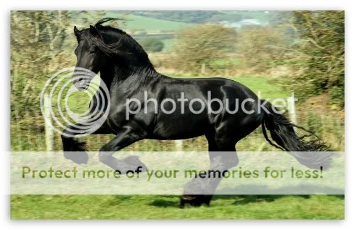 blackhorse