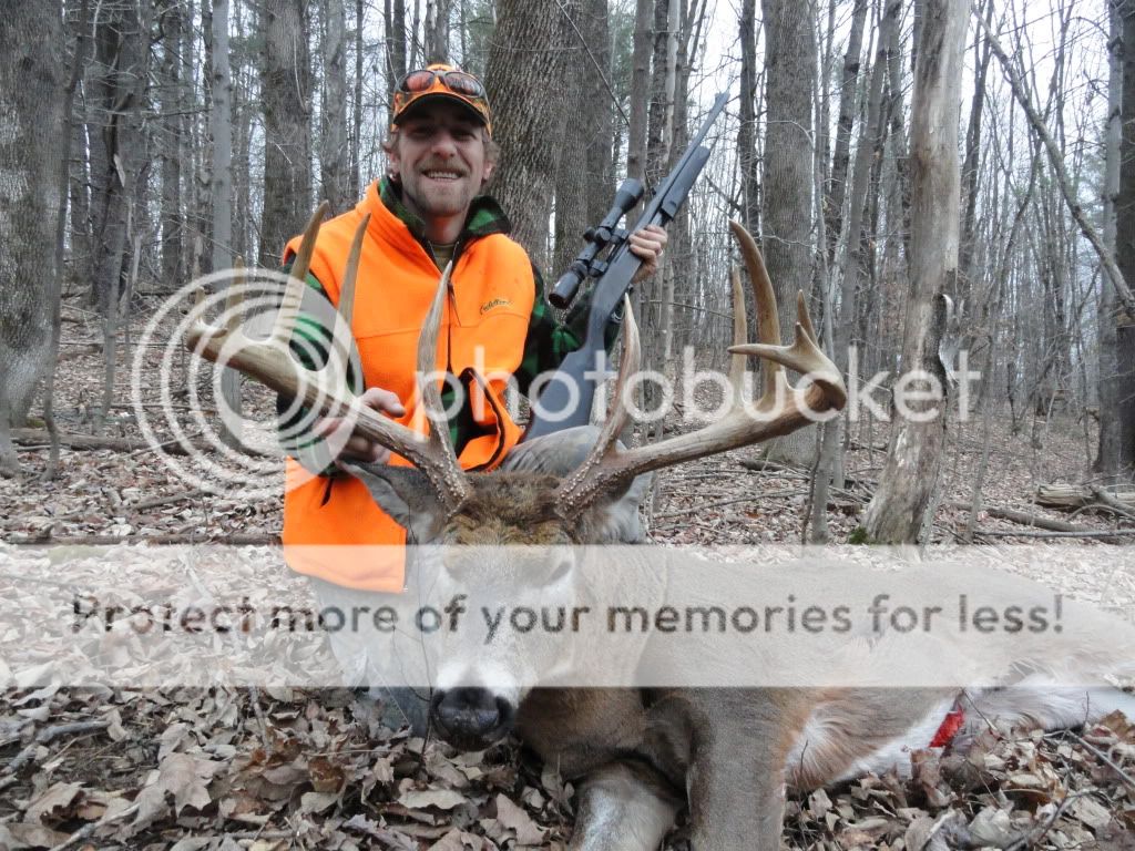 Great Maine Buck (pic)